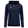 Hummel Lead Hoodie -JOM Kleidung Geschaft 207 409 7026 hummel lead poly hoodie