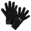 Puma TeamLIGA 21 Winter Handschuhe -JOM Kleidung Geschaft 41706 01 puma teamliga 21 winter gloves