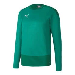 Puma TeamGOAL 23 Training Sweat