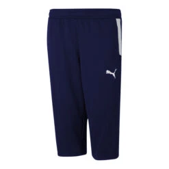 Puma TeamLIGA Training 3/4 Pants